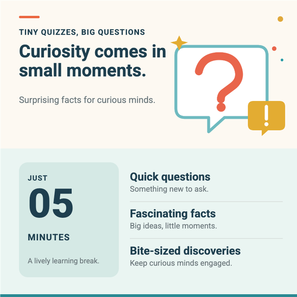 Tiny Quizzes, Big Questions A+ content template preview